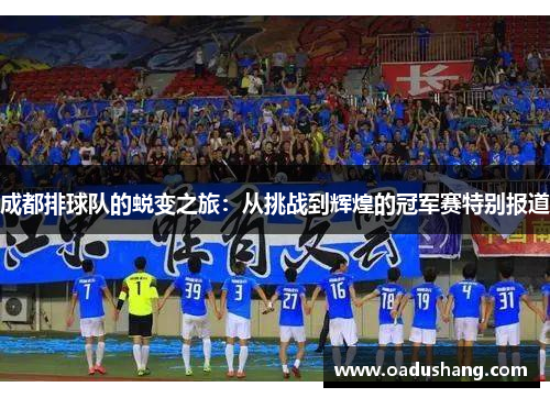 成都排球队的蜕变之旅：从挑战到辉煌的冠军赛特别报道