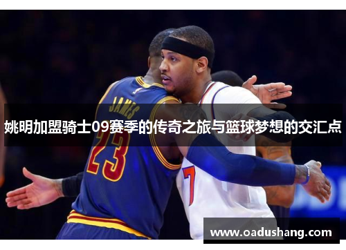 姚明加盟骑士09赛季的传奇之旅与篮球梦想的交汇点